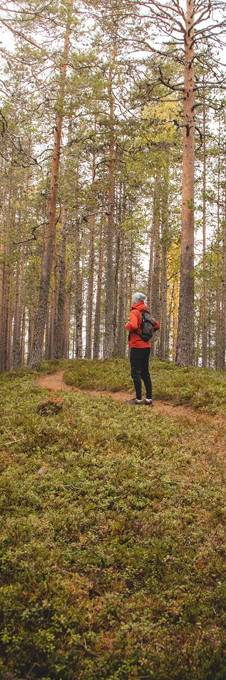 Luontopolku Hossan kansallispuiston maisemassa