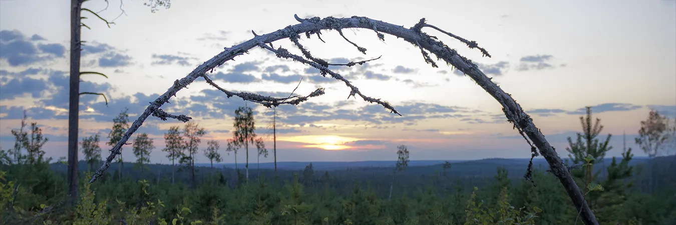 Hossan maisema Kainuussa lähellä Suomussalmea